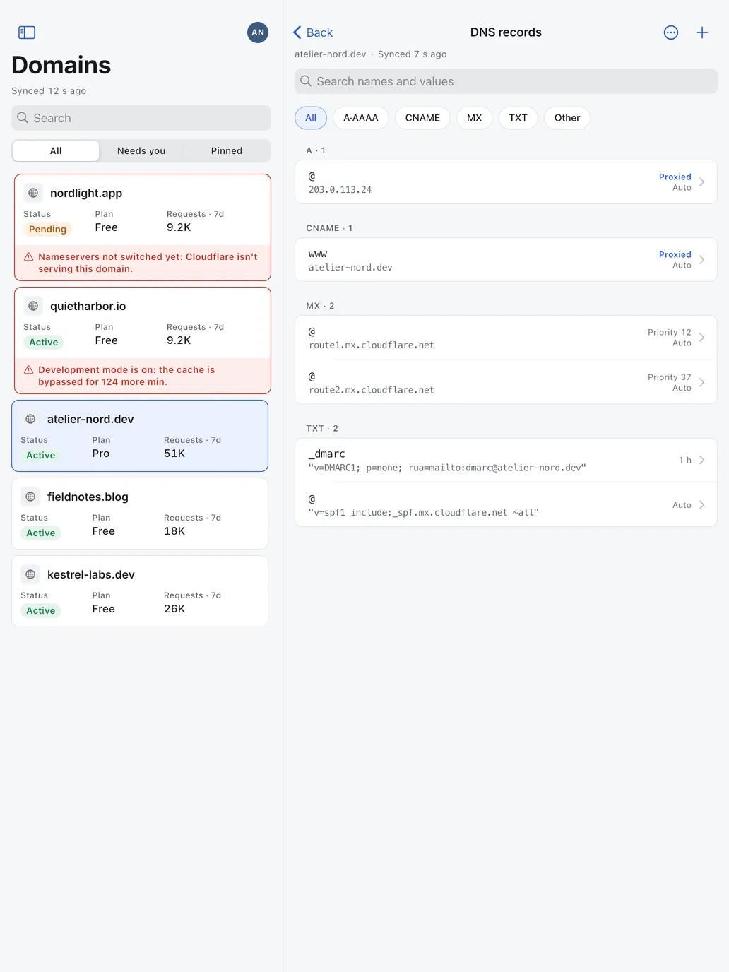 iPad: A domain's DNS records, grouped by type.